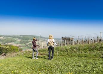 Früher Frühling, Weinwandern ©Thermen- & Vulkanland, pixelmakerat