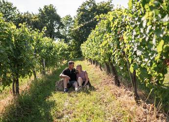 Picknick im Weingarten ©Thermen- & Vulkanland, Kump Photography