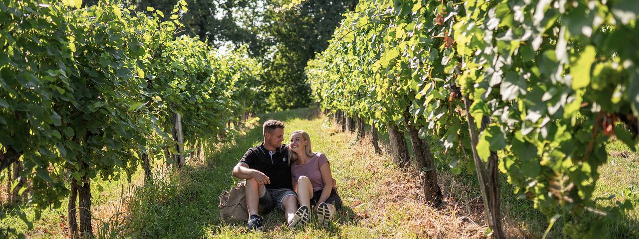 Picknick im Weingarten